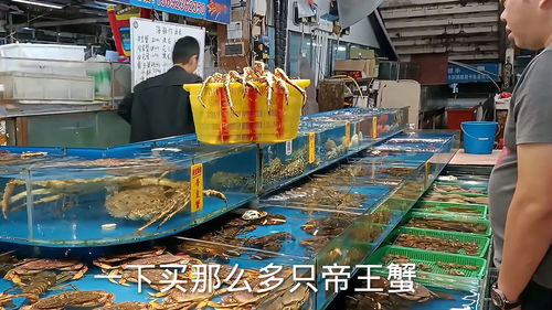 湛江海鲜市场 土豪挥金如土，帝王蟹成消费新宠