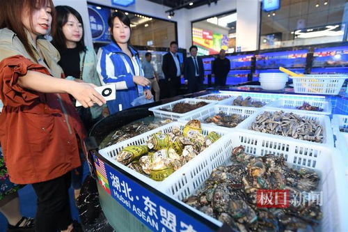 从渔码头到汉码头 武汉人快来批发价吃现烹海鲜