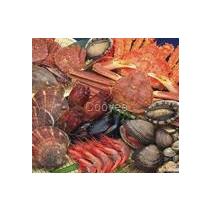 大连海鲜水产鲜活厂商公司 2019年大连海鲜水产鲜活批发市场与最新批发商动态