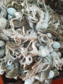 海鲜批发的称重之道 分类、选择与应用