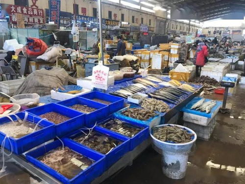 休渔期将至，义乌海鲜市场“囤货”忙，价格将迎小幅波动