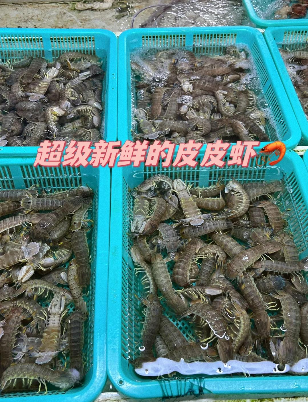 珠海美食探秘 白藤头水产批发市场海鲜攻略\n\n在中国南方的海岸线上，珠海以其优美的海景和丰富的海鲜资源而备受食客青睐。作为一座海滨城市，珠海的饮食文化深深扎根于海洋的滋养。在这其中，白藤头水产批发市场如同一颗隐藏在海滨画中的珍珠，成为美食探秘的理想起点。本文将成为你吃足购买的重磅攻略，带来独家指南何选择“网拍优选到桌”。\n\n第一时间踩占便是批发市场的“活色”魅力至刻难忘 正文 只要驾驶盘峰汽车拐入市内快线东路到， 满目的缤纷旗帜迎接批发来客。一旦涉及市中的“走货经验、门亲民理念的临场教大家才是特耀子