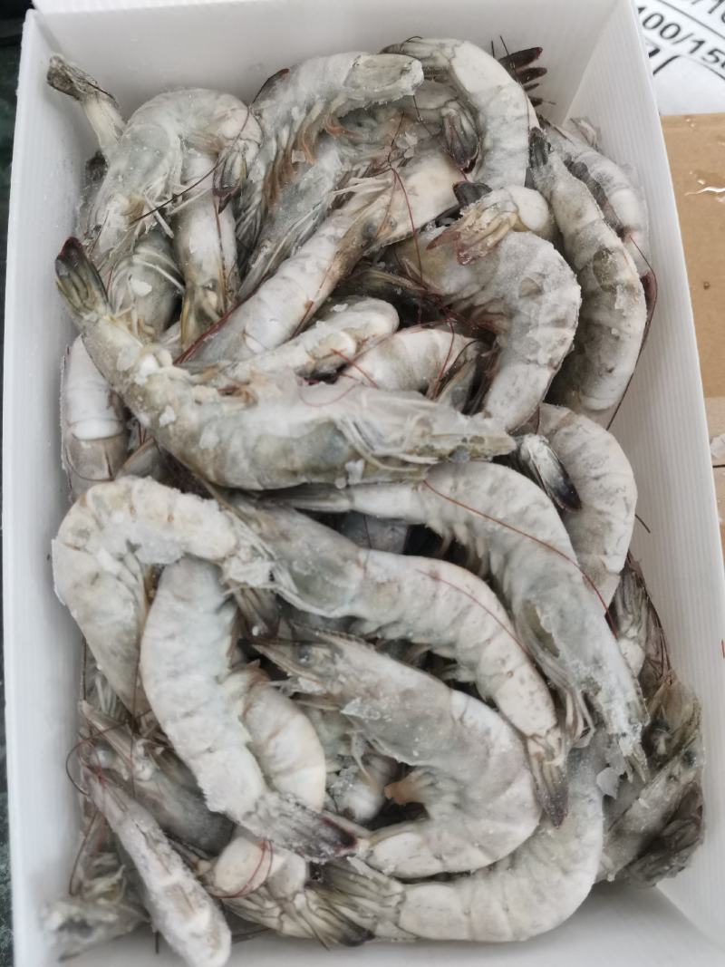 探访福州仓山区南美白对虾批发市场 深海大虾每件500元的供应链解析
